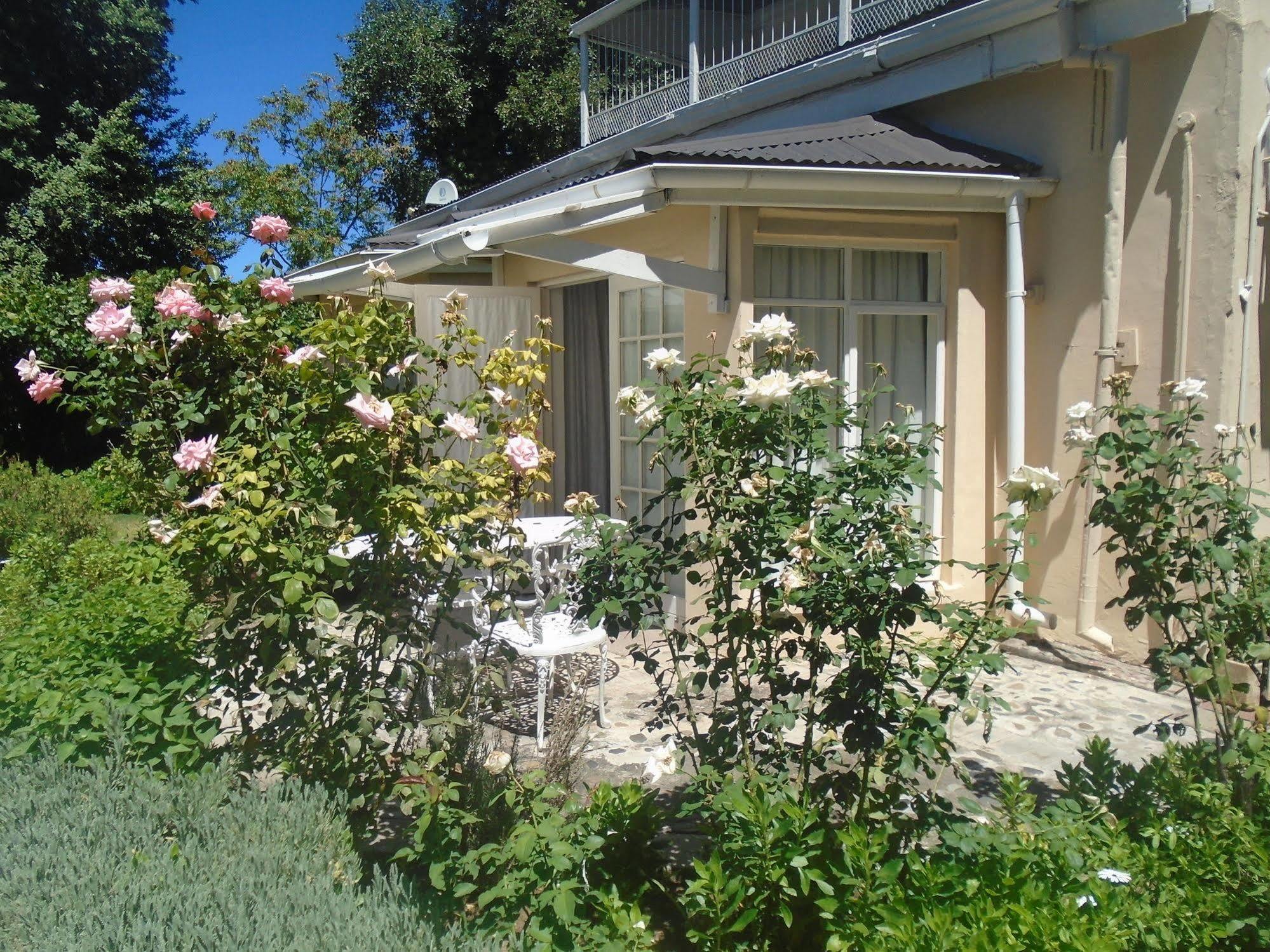 קרדוק Albert House B&B מראה חיצוני תמונה